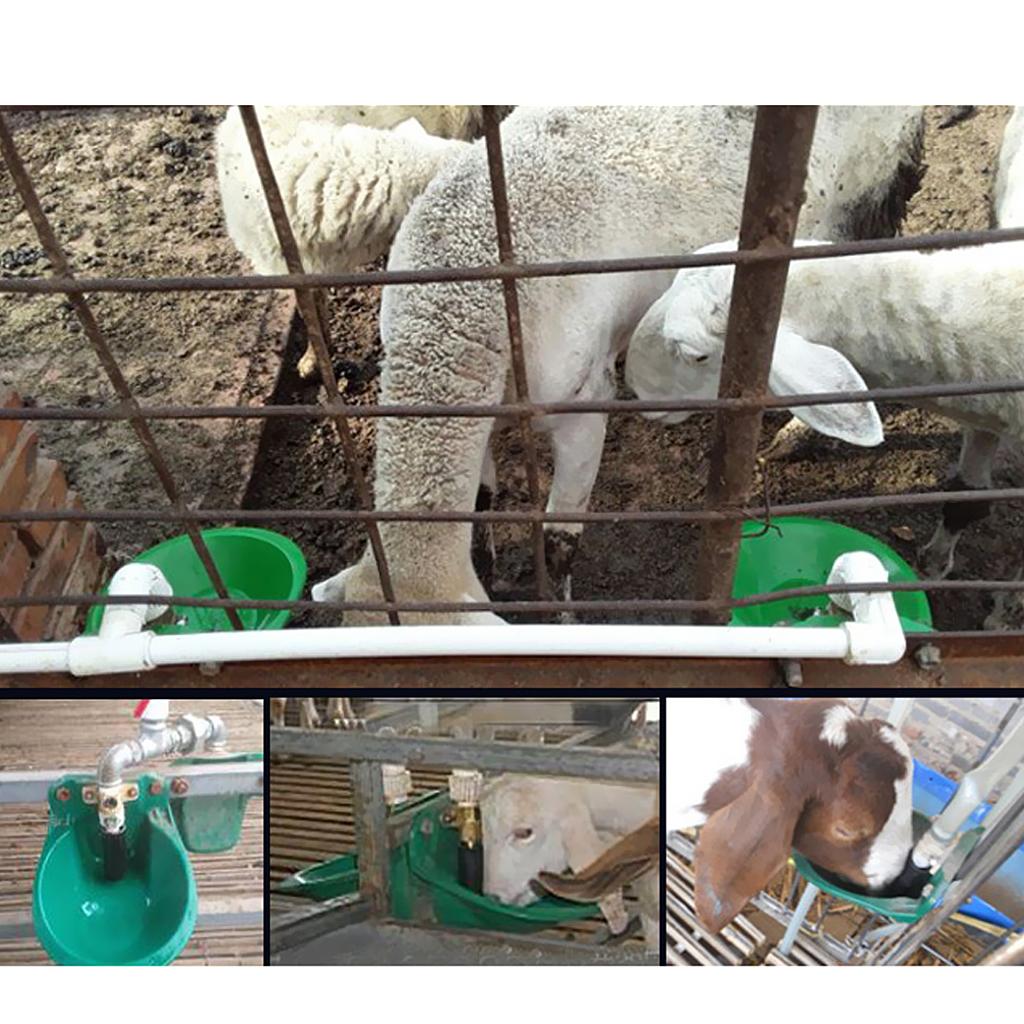 Sheep Water Trough Automatic Drinker Plastic Livestock Water Bowl for Goat Cattle Piglet Barn