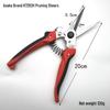 Asaka Seal K7282H Straight Pruning Shears for Fruit, Leaf, Flower, and Branch Gardening