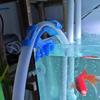 Aquarium Water Change Pipe Clip for Fish/Turtle Tanks