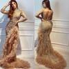 2025 Elegant European & American Women's Mesh Fishtail Evening Dress