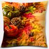 Pumpkin Halloween Thanksgiving Printing Series Pattern Pillowcase Square Pillowcase Home Office Decoration Pillowcase