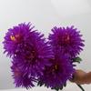 7Head Artificial Flower Silk Flowers Bouquet High Quality Simulation Flowers  Cemetery