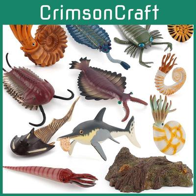 Modèle Animal Marin Nautilus Anomalocaris des Profondeurs pour Collectionneurs et Décoration