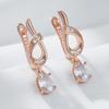 Shiny Natural Zircon Flower Long Drop Earrings For Women Fashion  Rose Gold Color Ethnic Bridal Wedding Jewelry