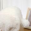 Furry Cartoon Head Cover with Ear for Outdoor Sports Furry Hat Bonnet Lamb Oversized Headgear Hat for Winter