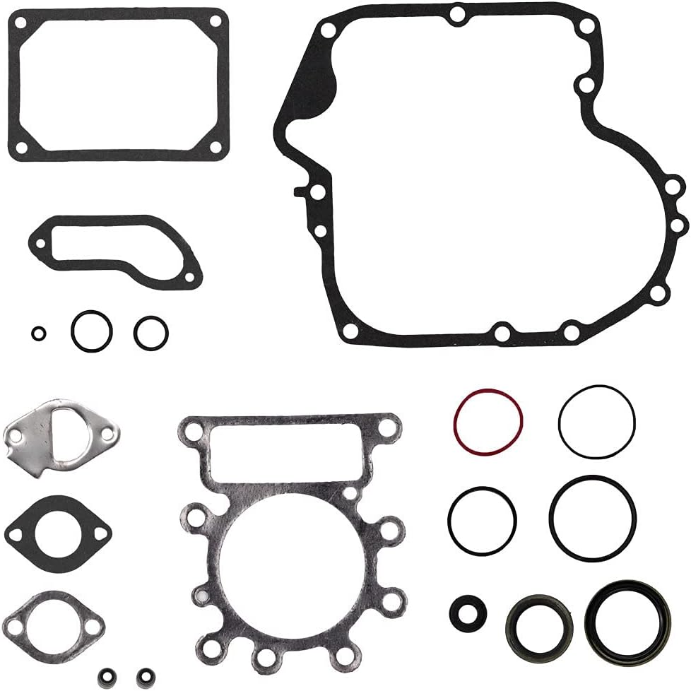 Complete Engine Gasket Kit for 796181 for Briggs & Stratton 21B900 28CH00 215000 285H00 Replace 697151 Equipment Engine Gasket Valve Seal O-Ring Set
