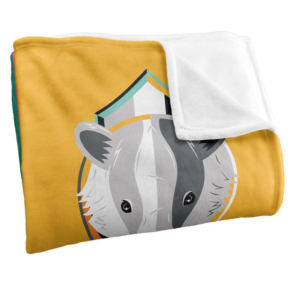 Harry Potter Bold Hogwarts Houses Blanket