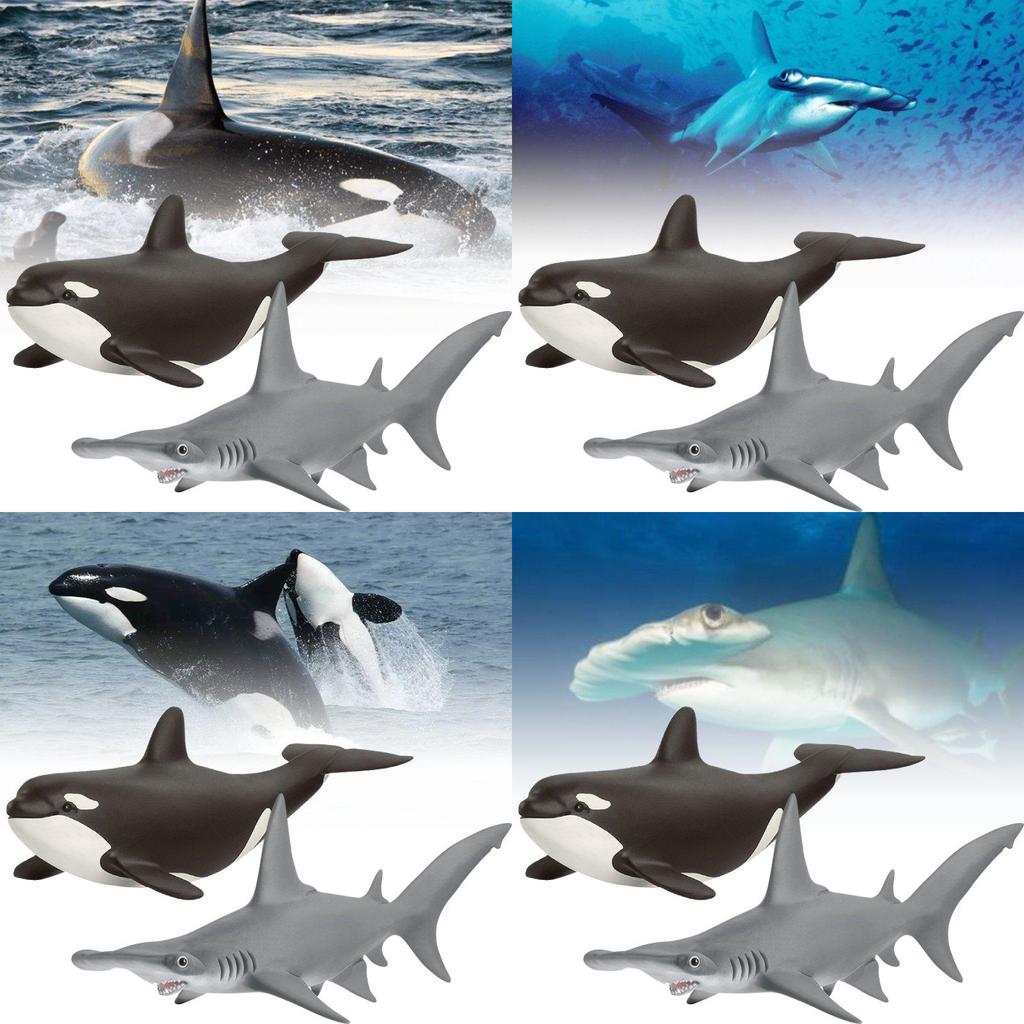 Realistic Sea Life Pvc Model Collection Including Whales Dolphins Sharks And Sea Lions