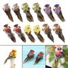 12 Pcs Birds Figurines Artificial Foam feather type bird for crafts Decoration home and garden