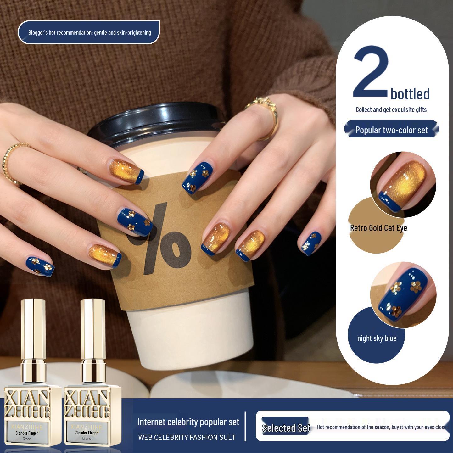 Trendy Retro Gold Cat Eye Nail Gel: 2025 Night Sky Blue Two-Color Set for Salons