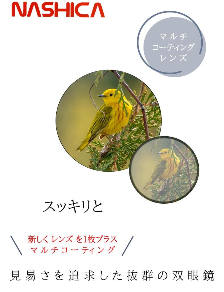 NASHICA Optical 10x Binoculars [10x21 UC-MC] - Perfect for Concerts, Sports Events, Theater, Travel, and More - [White]