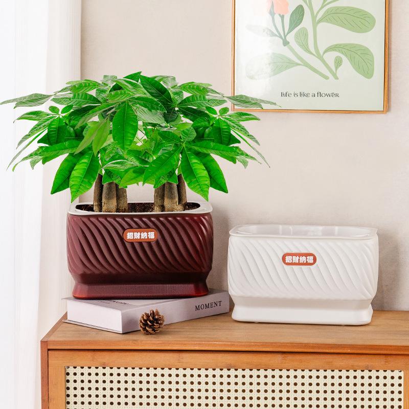Self Watering Flower Pot Plastic Plant Pots Self Watering Planter Pot Vase For Home Decoration