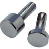 TRUSCO Panel Fixing Bar Pack of x 10PK of Bolts, M4, 6-6-10mm, 4, PF-AB051 (Case 10)