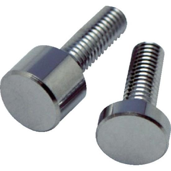 TRUSCO Panel Fixing Bar Pack of x 10PK of Bolts, M4, 6-6-10mm, 4, PF-AB051 (Case 10)