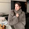 Autumn and Winter New Imitation Fox Fur Coat Fashionable Light Temperament Warm Thickened Coat
