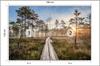 Photomural Wooden Path In The Forest Structural Vinyl 180x120