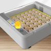Smart Chicken Incubator Full Digital Control Hatching for Quail Eggs Compact Poultry Breeding Equipment Home Incubation System