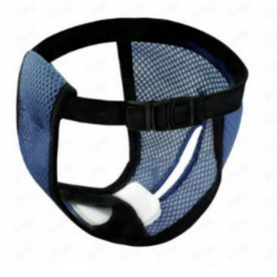 Cross-Border Dog Menstrual & Sanitary Pants - Anti-Harassment Physiological Diaper for Mother Dogs