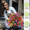 1pc Artificial Flower Violet Ground Insert with Nail Garden Decoration Artificial Flower Home Outdoor Decoration
