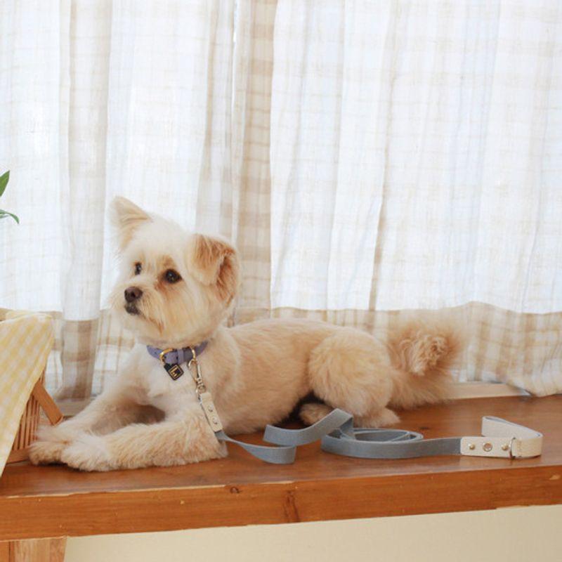 MAISON DE MIU Running Mate Leather&Webbing Lead_White/Light Blue