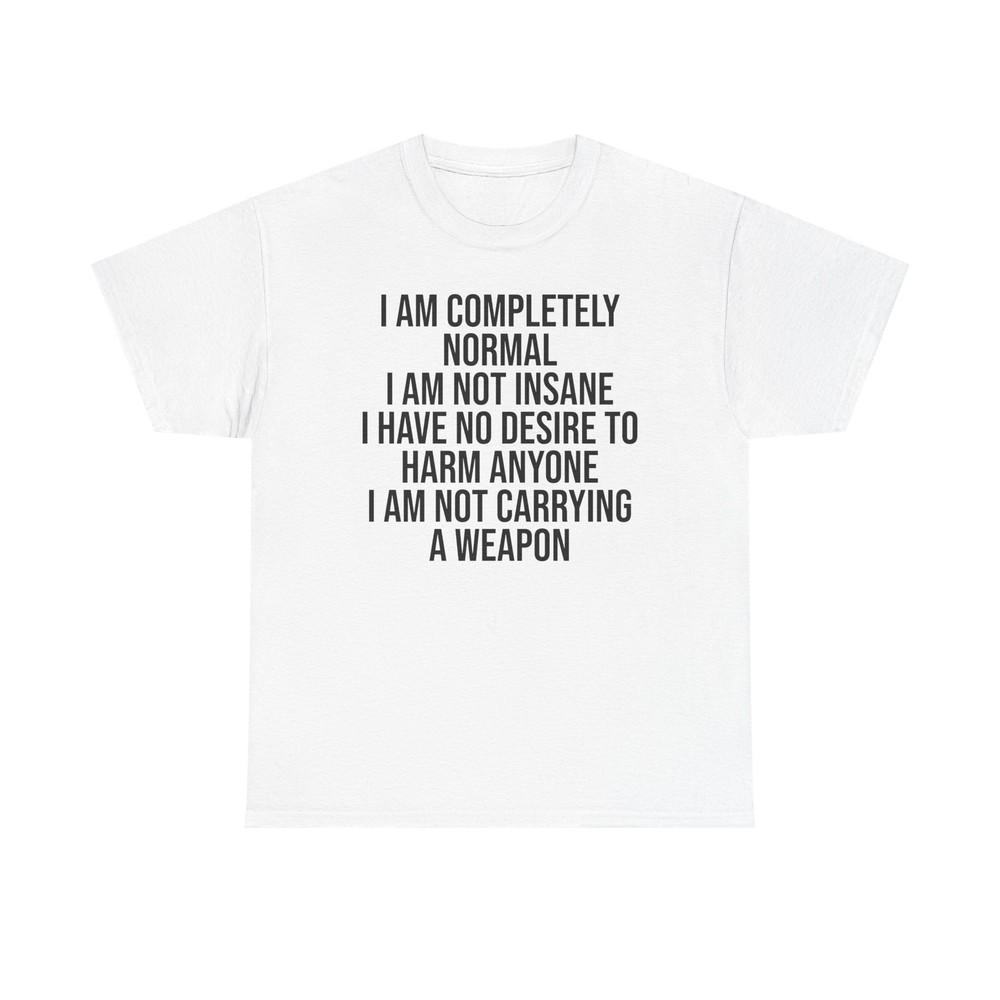 

I am completely normal I am not insane shirt funny novelty edgy L