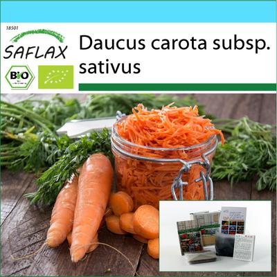 Gift Set - Organic - Carrot - Autumn King - 1000 Seeds - With Gift Box, Card, Label and Potting Substrate - Daucus Carota
