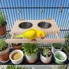 Vogel zitstok Vogelstandaard Waterbakje Conure Speeltjes Houten Huisdierbenodigdheden Met Roestvrijstalen Bakjes Voor Parkiet Conure Cockatiel