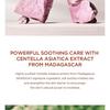 SKIN 1004 - Madagascar Centella Poremizing Clear Toner