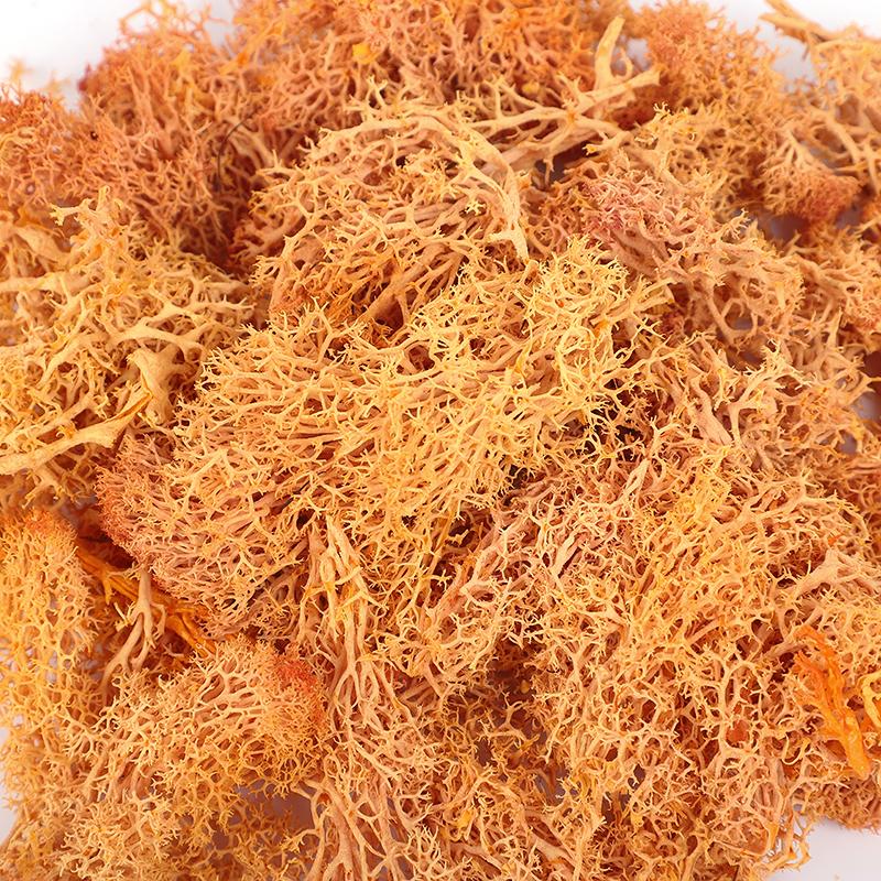 20/40/100g Artificial Green Plants Eternal Life Moss Grass DIY Crafts for Home Garden Room Decoration Mini Landscape Fake Flower