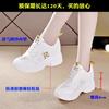 Thick-soled dad shoes women's summer mesh hollowed-out heightening casual sports shoes