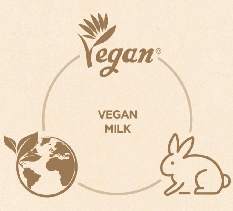 ISNTREE Yam Root Vegan Milk Cleanser 220ml + Refill – Gentle, Nourishing Cleanser for Sensitive Skin