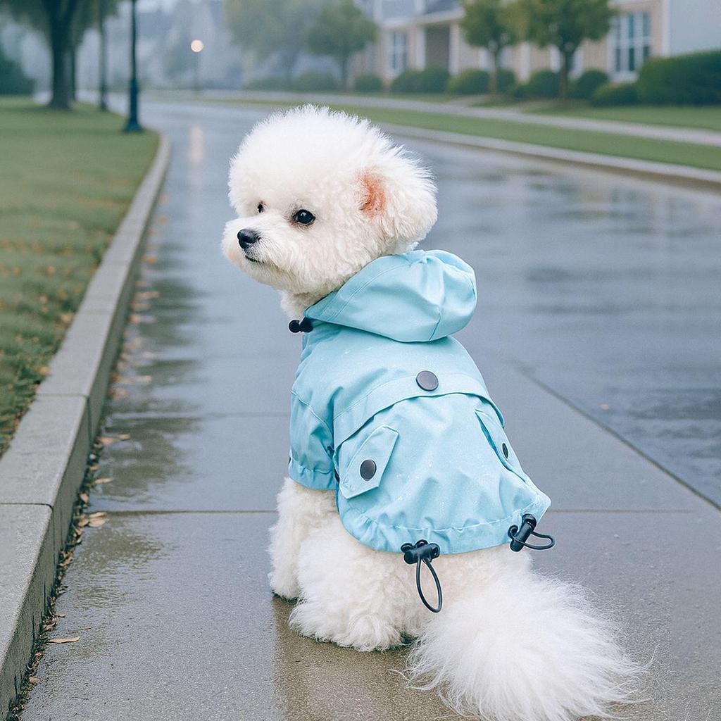 Spring/Summer Transparent Waterproof Raincoat for Small to Medium Dogs, Rainbow Design - Ideal for Teddy & Bichon Frise