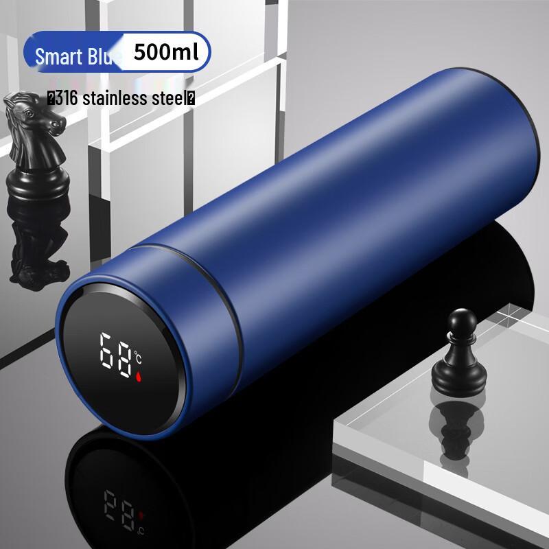 Temperature Display Insulated Stainless Steel Bottle