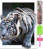 Large 5D Diamond Embroidery Mosaic Picture Set D14