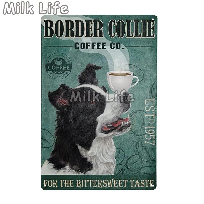 Metal Tin Sign Vintage Funny Border Collie Dog for Coffee Bathroom Toilet Pet Shop Home Sweet Home Sign Bedroom Art Wall Decor