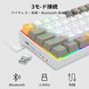 Redragon K530 PRO Draconic Gaming Brown English Bluetooth Tenkeyless Mechanical RGB Compact English for Keyboard, Wireless, 60% Switches, Layout,