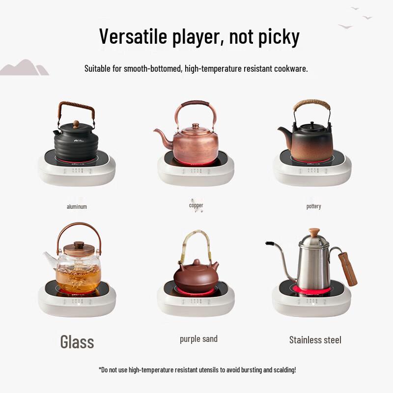 Bear 0.6L Multifunction Electric Health & Tea Pot CN plug (adapter included)