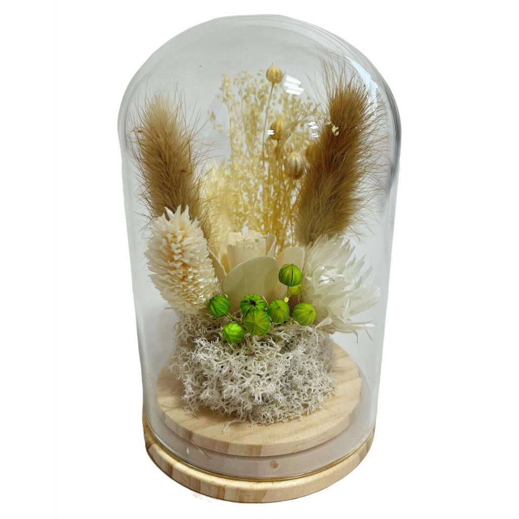 Q-FLA Dried Flower Dome Arrangement, White, Perfect for Gifts and Celebrations, 813566