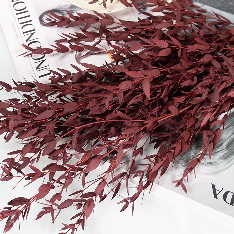 Eternal Apple Eucalyptus Millet Fruit Leaves Beauty Leaves Eucalyptus Leaves Air Dried Flowers And Leaves Multicolor Eucalyptus Leaves Home Decoration