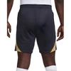 Nike Chelsea F.C. Strike Soccer Bottom Men's Blue Gold DX3186-426