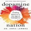 Dopamine Nation Paperback By Anna Lembke