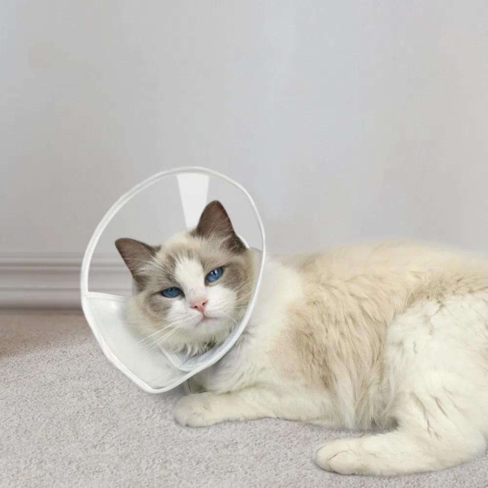 Comfortable Cat Recovery Cone Collar Soft Cat Elizabethan Ring Reusable Pet Protective Collar  Dogs