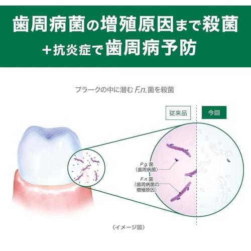 [.co.jp Exclusive] [Bulk Purchase of 2] Gum Plus Dental Rinse Medicated Liquid Toothpaste, Alcohol-Free, Mild, 900ml X 2 Bottles