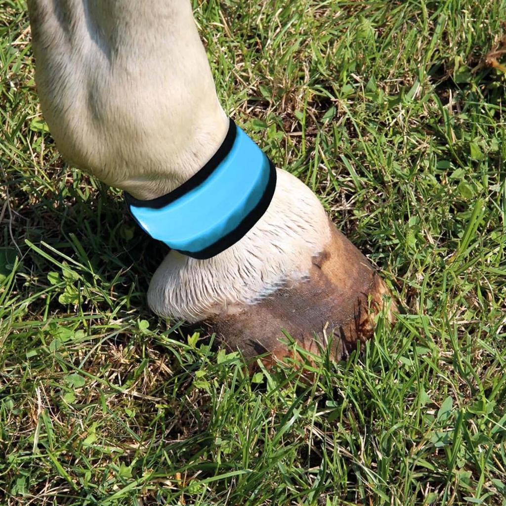 Leg Strap For Horse 4 Pieces Reflective Animals Foot Wraps Horse Leg Bands With LED Light For Grassland Stables Equestrian Night