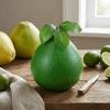 Foam Fake Grapefruit Lifelike Grapefruit Model Creative Artificial Fruit Pomelo  Photo Teaching