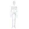 Luminous Skull Skeleton Body Scary Halloween Toy Haunted House Tricky Prop Halloween Party Decoration Props