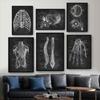Human Anatomy Artwork Medical Clinic Wall Picture Skeleton Organ Muscle System Vintage Canvas Print Body Education Poster