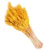Home Decor Natural Dried Flowers Dried Wheat Bouquet Wheat Ear