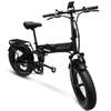 Bicicletă Electrică Adult 1000W Masculin 48 v13ahBaterie E-Mountain ebike , 20 inch 4.0 Anvelopă Lată Bicicletă Electrică Masculină