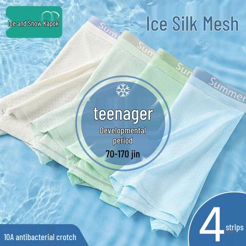 Teen Boys Breathable Ice Silk Mesh Boxer Briefs XL (110-130 lbs)